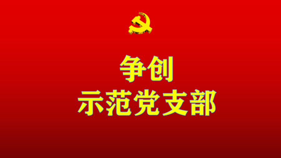 锡林浩特市城建投资投资有限公司  党支部基本情况
